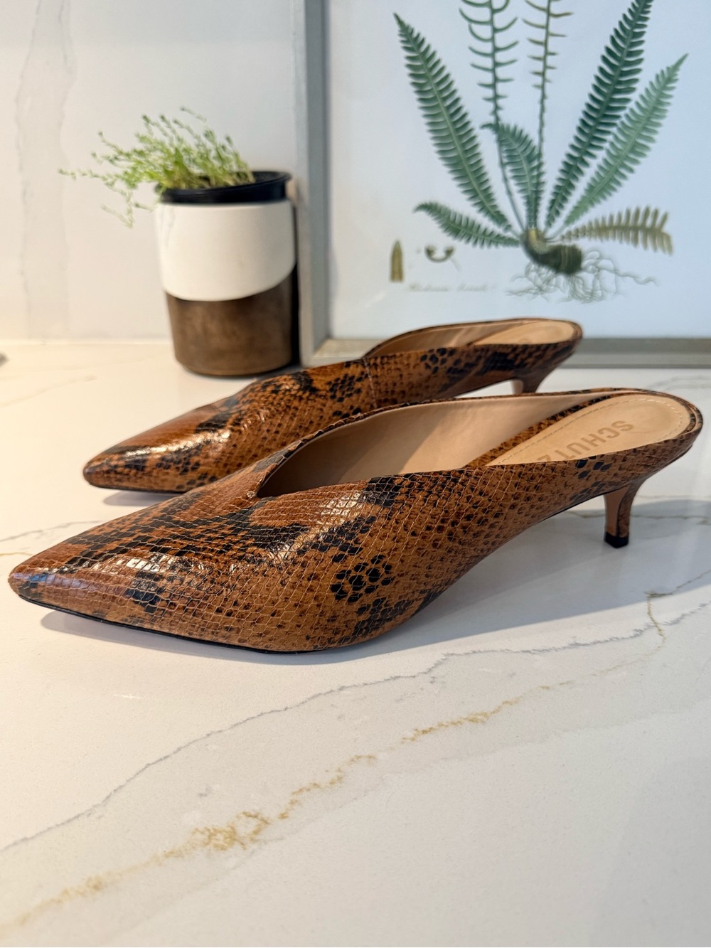 SCHUTZ Brown Snakeskin Leather Pointed-Toe Kitten Heel Mules Size 11